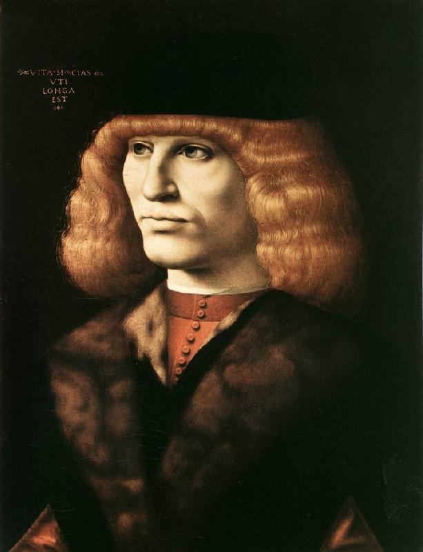 PREDIS, Ambrogio de Portrait of a Young Man sgt oil painting picture